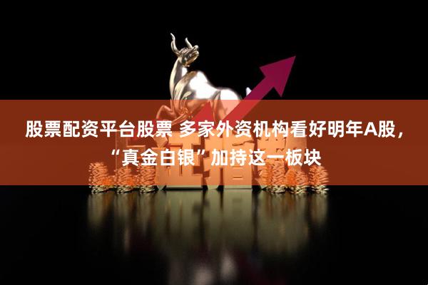股票配资平台股票 多家外资机构看好明年A股，“真金白银”加持这一板块