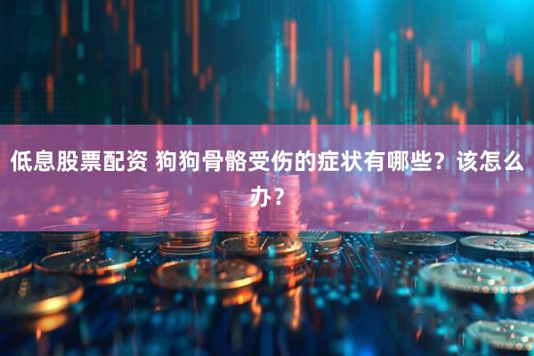低息股票配资 狗狗骨骼受伤的症状有哪些？该怎么办？