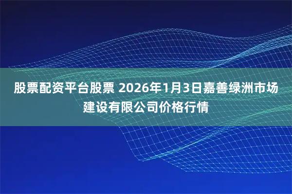 股票配资平台股票 2026年1月3日嘉善绿洲市场建设有限公司价格行情