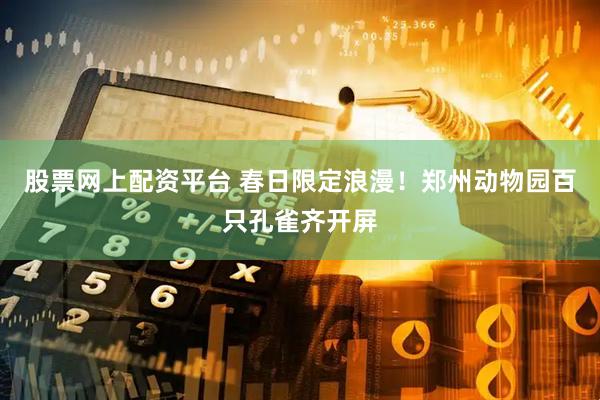股票网上配资平台 春日限定浪漫！郑州动物园百只孔雀齐开屏