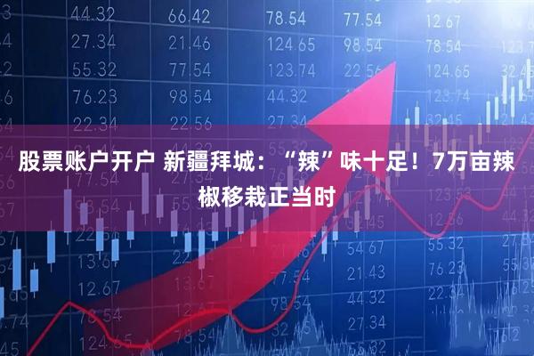 股票账户开户 新疆拜城：“辣”味十足！7万亩辣椒移栽正当时